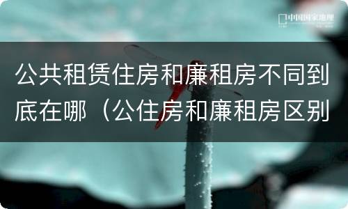 公共租赁住房和廉租房不同到底在哪（公住房和廉租房区别）