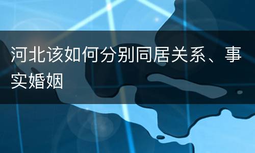 河北该如何分别同居关系、事实婚姻