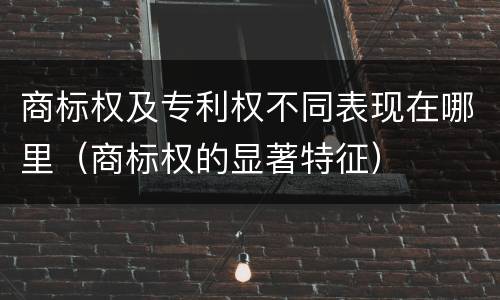 商标权及专利权不同表现在哪里（商标权的显著特征）