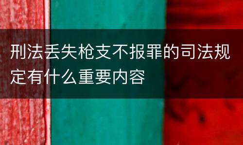 刑法丢失枪支不报罪的司法规定有什么重要内容
