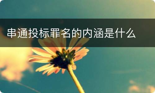 串通投标罪名的内涵是什么