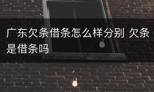 广东欠条借条怎么样分别 欠条是借条吗
