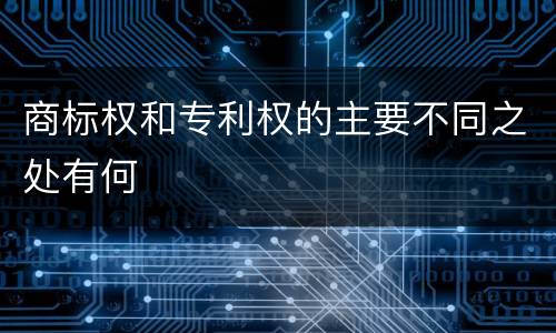 商标权和专利权的主要不同之处有何