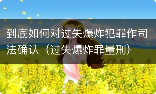 到底如何对过失爆炸犯罪作司法确认（过失爆炸罪量刑）