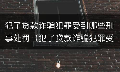 犯了贷款诈骗犯罪受到哪些刑事处罚（犯了贷款诈骗犯罪受到哪些刑事处罚呢）