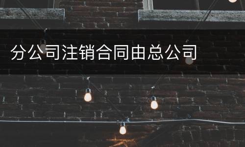 分公司注销合同由总公司