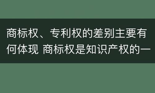商标权、专利权的差别主要有何体现 商标权是知识产权的一种吗