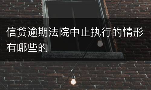 信贷逾期法院中止执行的情形有哪些的