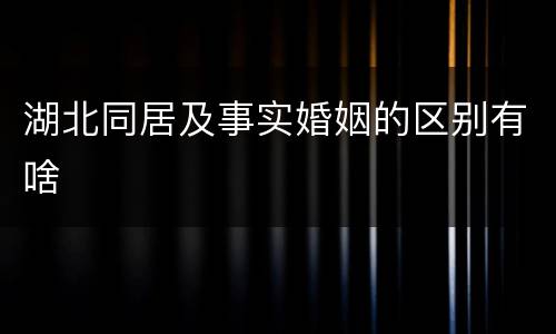 湖北同居及事实婚姻的区别有啥