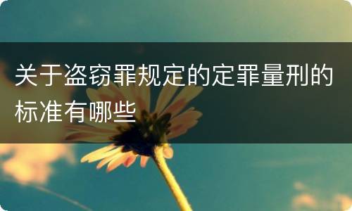 关于盗窃罪规定的定罪量刑的标准有哪些