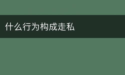 什么行为构成走私