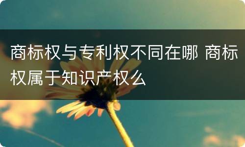 商标权与专利权不同在哪 商标权属于知识产权么