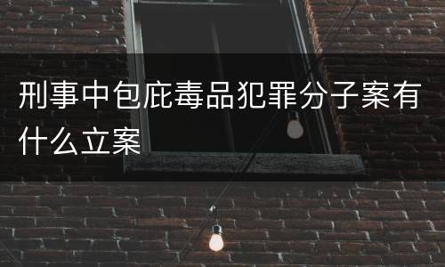 刑事中包庇毒品犯罪分子案有什么立案