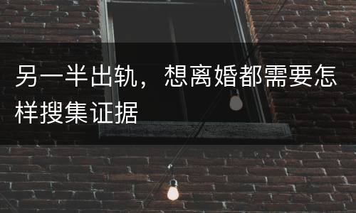 另一半出轨，想离婚都需要怎样搜集证据