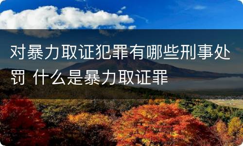 对暴力取证犯罪有哪些刑事处罚 什么是暴力取证罪