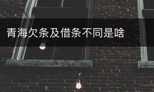青海欠条及借条不同是啥