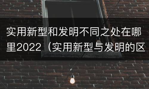 实用新型和发明不同之处在哪里2022（实用新型与发明的区别是什么）