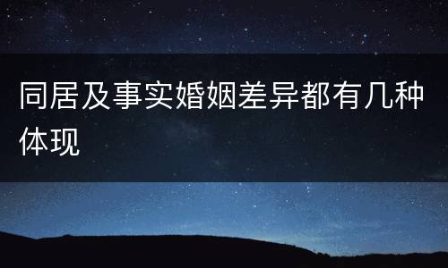 同居及事实婚姻差异都有几种体现