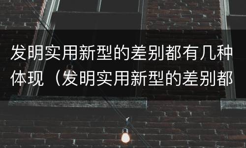 发明实用新型的差别都有几种体现（发明实用新型的差别都有几种体现方法）