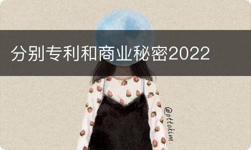 分别专利和商业秘密2022