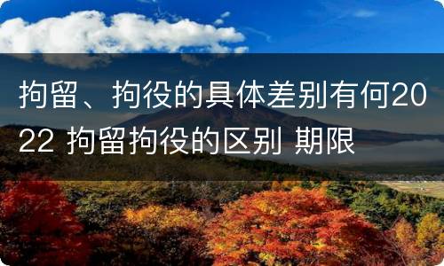 拘留、拘役的具体差别有何2022 拘留拘役的区别 期限