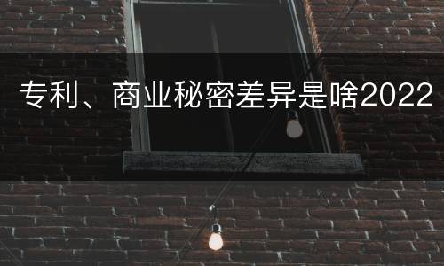 专利、商业秘密差异是啥2022