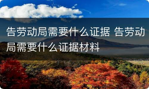 告劳动局需要什么证据 告劳动局需要什么证据材料