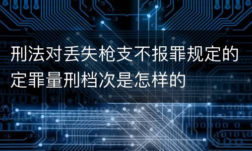 刑法对丢失枪支不报罪规定的定罪量刑档次是怎样的