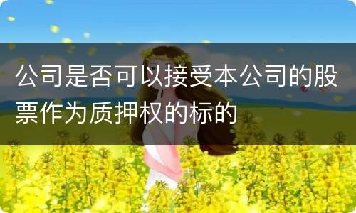 公司是否可以接受本公司的股票作为质押权的标的