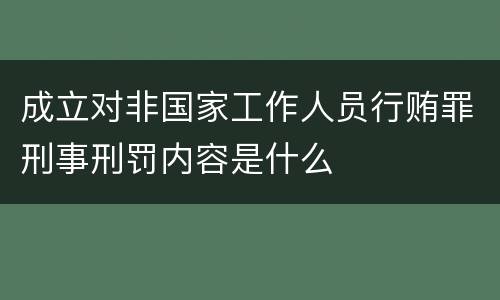 成立对非国家工作人员行贿罪刑事刑罚内容是什么