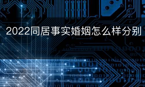 2022同居事实婚姻怎么样分别