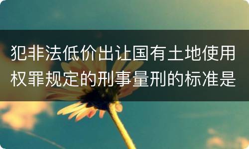 犯非法低价出让国有土地使用权罪规定的刑事量刑的标准是什么样的