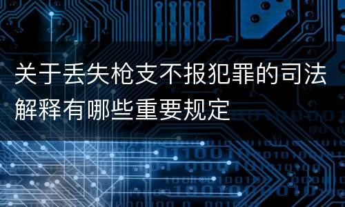 关于丢失枪支不报犯罪的司法解释有哪些重要规定