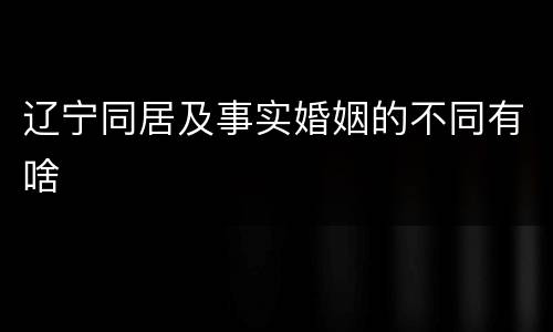 辽宁同居及事实婚姻的不同有啥