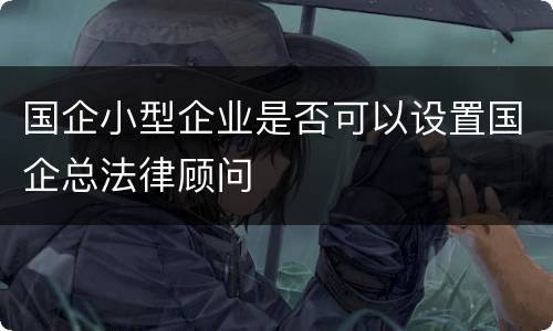 国企小型企业是否可以设置国企总法律顾问