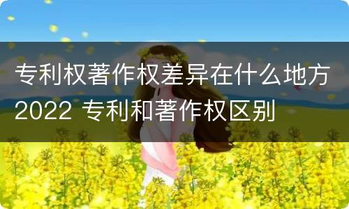 专利权著作权差异在什么地方2022 专利和著作权区别