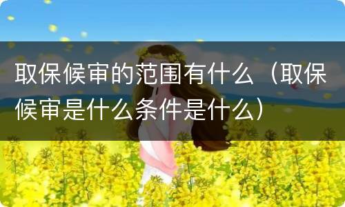 取保候审的范围有什么（取保候审是什么条件是什么）