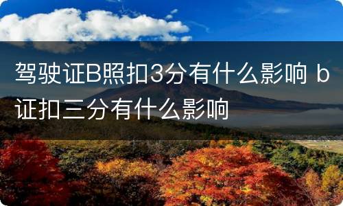 驾驶证B照扣3分有什么影响 b证扣三分有什么影响