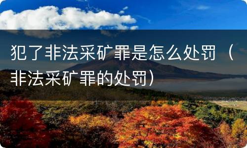 犯了非法采矿罪是怎么处罚（非法采矿罪的处罚）