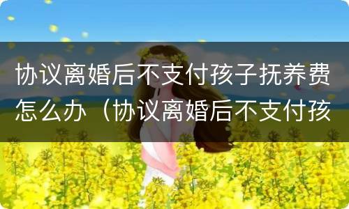 协议离婚后不支付孩子抚养费怎么办（协议离婚后不支付孩子抚养费怎么办理）