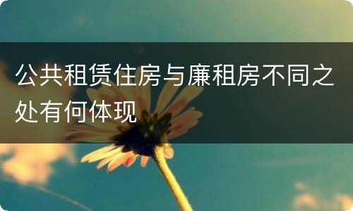 公共租赁住房与廉租房不同之处有何体现