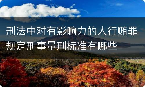 刑法中对有影响力的人行贿罪规定刑事量刑标准有哪些