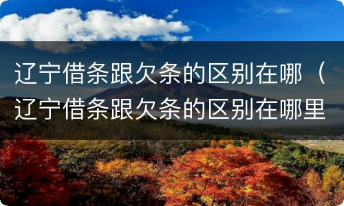 辽宁借条跟欠条的区别在哪（辽宁借条跟欠条的区别在哪里）