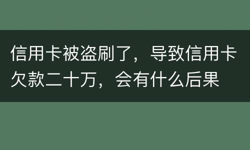 信用卡被盗刷了，导致信用卡欠款二十万，会有什么后果