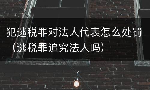 犯逃税罪对法人代表怎么处罚（逃税罪追究法人吗）