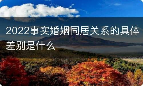 2022事实婚姻同居关系的具体差别是什么