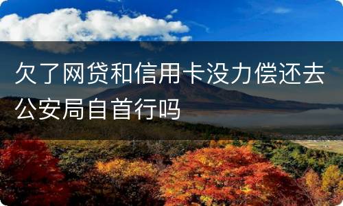 欠了网贷和信用卡没力偿还去公安局自首行吗