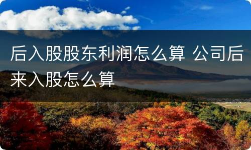 后入股股东利润怎么算 公司后来入股怎么算