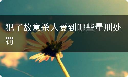 犯了故意杀人受到哪些量刑处罚