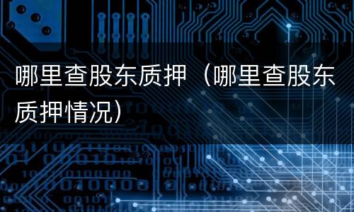 哪里查股东质押（哪里查股东质押情况）